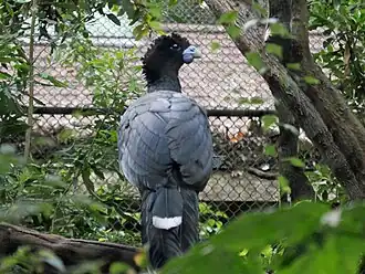 alternativní popis obrázku chybí