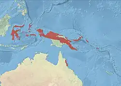 Areál rozšíření