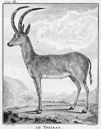 alternativní popis obrázku chybí