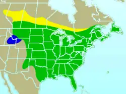 Mapa s rozšířením žlutě = hnízdiště zeleně = oblasti s celoročním výskytem modře = zimoviště
