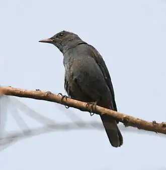 alternativní popis obrázku chybí