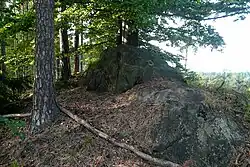 Pískovcový vrchol Bořejovského vrchu