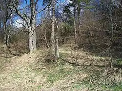 Boží muka jižně od Kejšovic (Q37341872).jpg