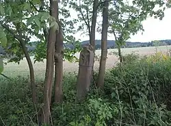 Boží muka severně od Světce (Q38140917).jpg