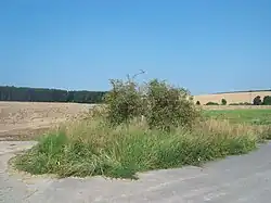 Boží muka u Otova (Q38044853).jpg