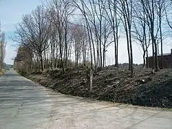 Boží muka u Pláně (Q38048174) 01.jpg