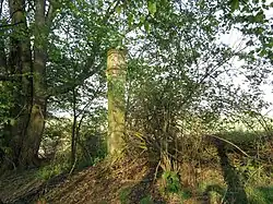 Boží muka u Podolí v poli (Q61885369) 01.jpg