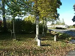 Boží muka v Matějově (Q94432160).jpg