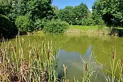 Rybníček u zaniklé osady Oldřišská