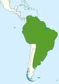 Areál rozšíření