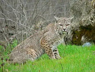 alternativní popis obrázku chybí