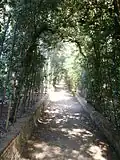 Jedna z cest krytých vegetací na straně Viottolone