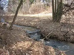 Potok u Světlé nad Sázavou