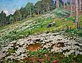 Bohuslav Dvořák Rozkvetlá louka
