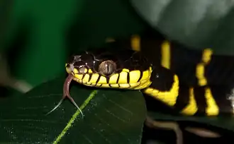 alternativní popis obrázku chybí