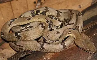 alternativní popis obrázku chybí