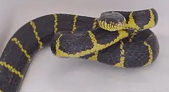 alternativní popis obrázku chybí