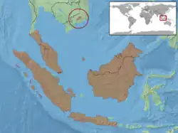 Areál rozšíření