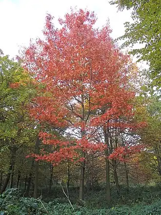 alternativní popis obrázku chybí