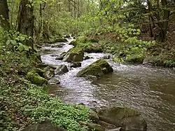 Bojovský potok pod Spáleným mlýnem