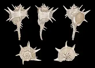 alternativní popis obrázku chybí