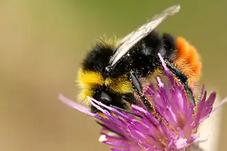 alternativní popis obrázku chybí