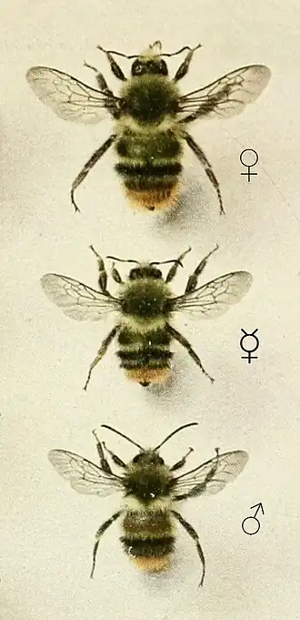 alternativní popis obrázku chybí