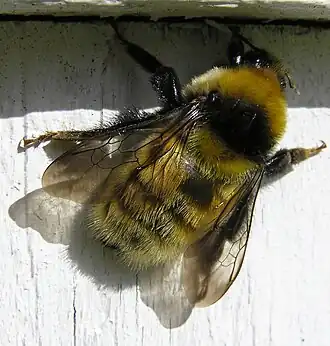 alternativní popis obrázku chybí