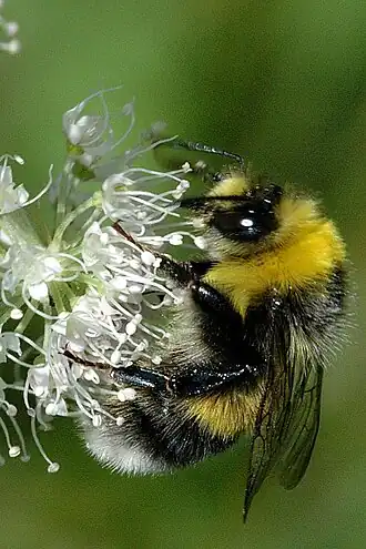 alternativní popis obrázku chybí