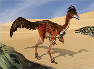 popis obrázku chybí