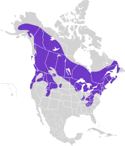 Areál rozšíření