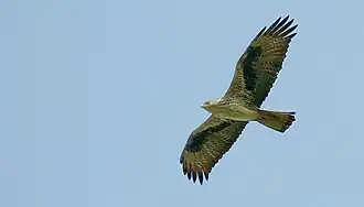 alternativní popis obrázku chybí