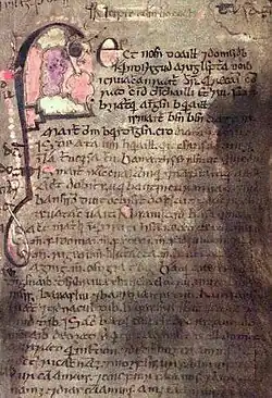 Folio 53 z Knihy z Leinsteru. Lebor Gabála Érenn je zaznamenána na více než dvanácti středověkých rukopisech a Kniha z Leinsteru je jen jedním z primárních zdrojů. Image: Dublin, TCD, MS 1339 (olim MS H 2.18)