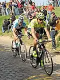 Filippo Pozzato a Tom Boonen při výjezdu na Oude Kwaremont, Kolem Flander 2012