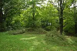 Terénní pozůstatky hradu Boršengrýn