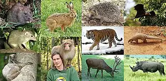 alternativní popis obrázku chybí