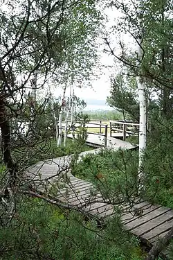 Přístupová cesta s plošinou k jezírku