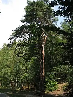 Pohled od jihovýchodu