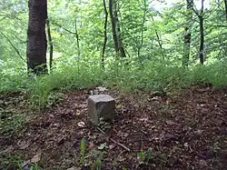 Vrcholový kámen na Borském vrchu