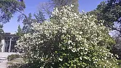 Botanická zahrada (jaro 2024)