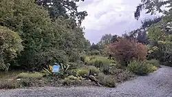 Centrální část - pohled od vstupu do zahrady