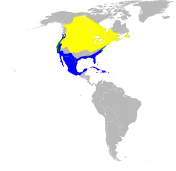 Mapa s rozšířením žlutě = hnízdiště zeleně = oblasti s celoročním výskytem modře = zimoviště