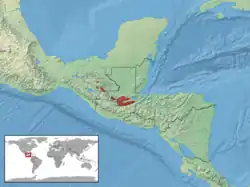 Mapa rozšíření křovináře žlutoskvrnného