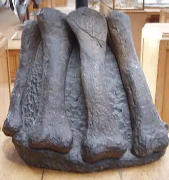 alternativní popis obrázku chybí