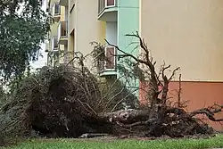 následky bouře na sídlišti Vltava