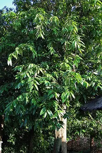 alternativní popis obrázku chybí