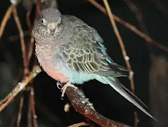 alternativní popis obrázku chybí