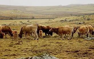 alternativní popis obrázku chybí