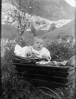 Chlapec v kočárku, 1910