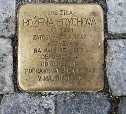 Božena Brychová, rozená Havlíčková, manželka Josefa Brycha[14]